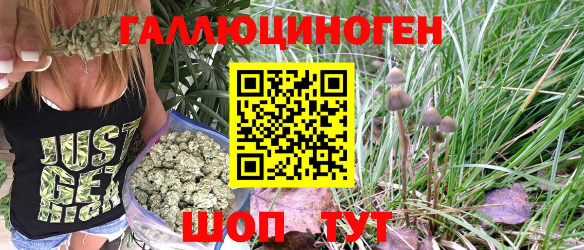 Галлюциногенные грибы MAGIC MUSHROOMS  Галлюциногенные грибы прущие грибы  Рязань  Вход с VPN 